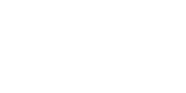 Nintendo Gamecube